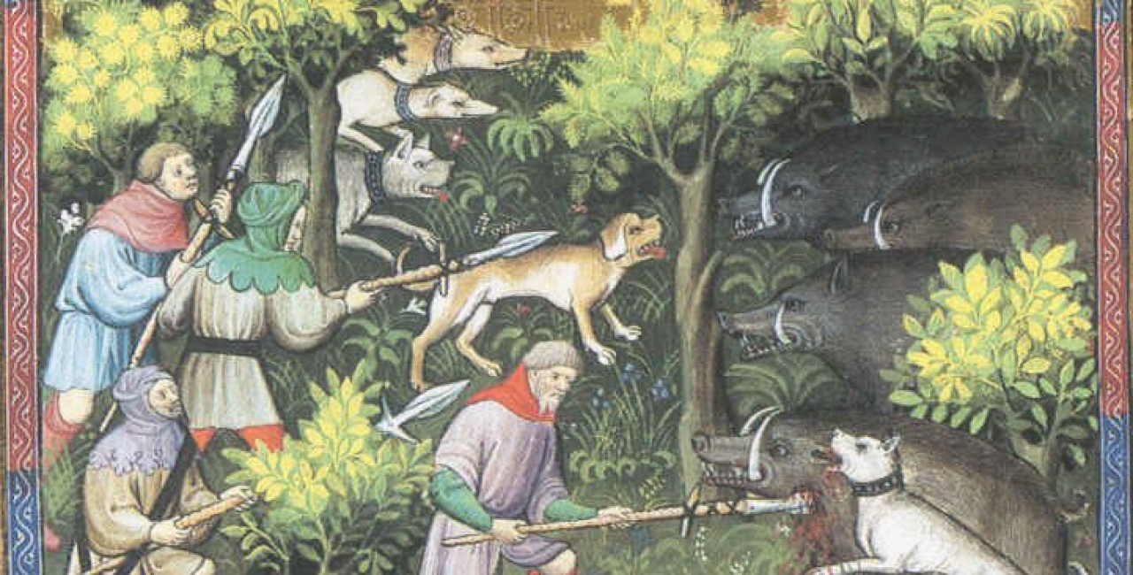 Of deer and men....