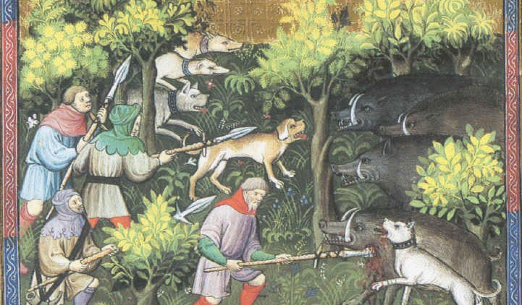 Of deer and men....