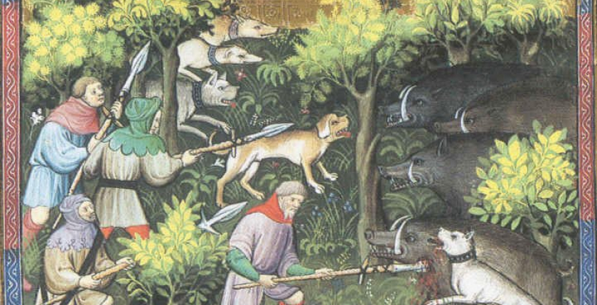 Of deer and men....